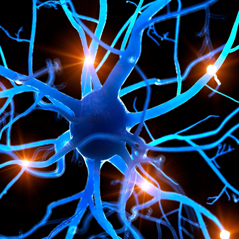 Inflammation of the nervous system and signaling pathways