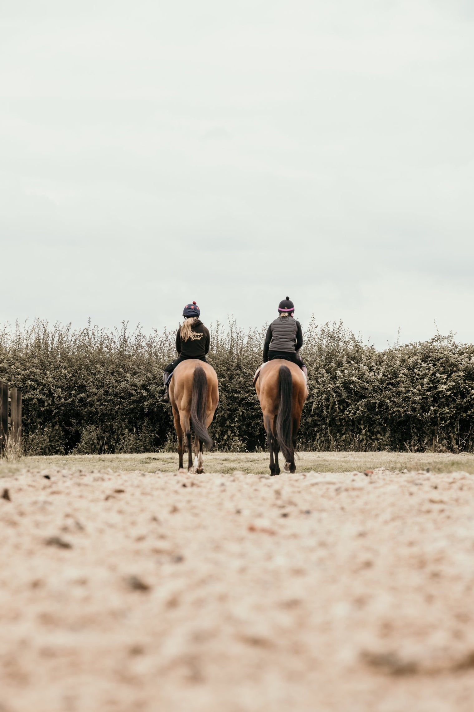 Keep your horse happy