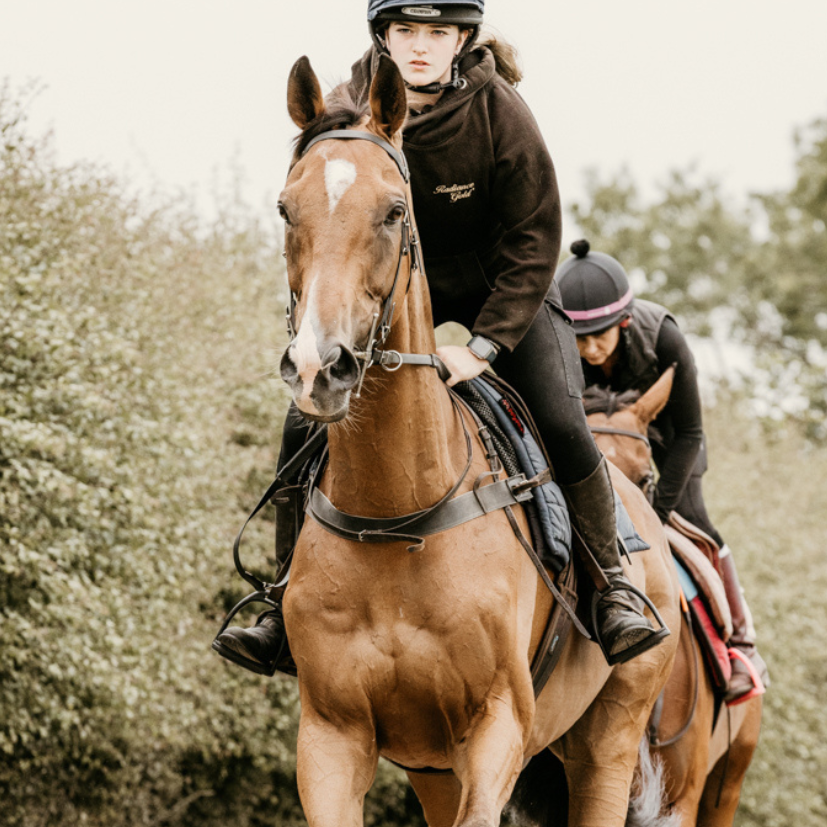 Gut brain axis (MGBA)