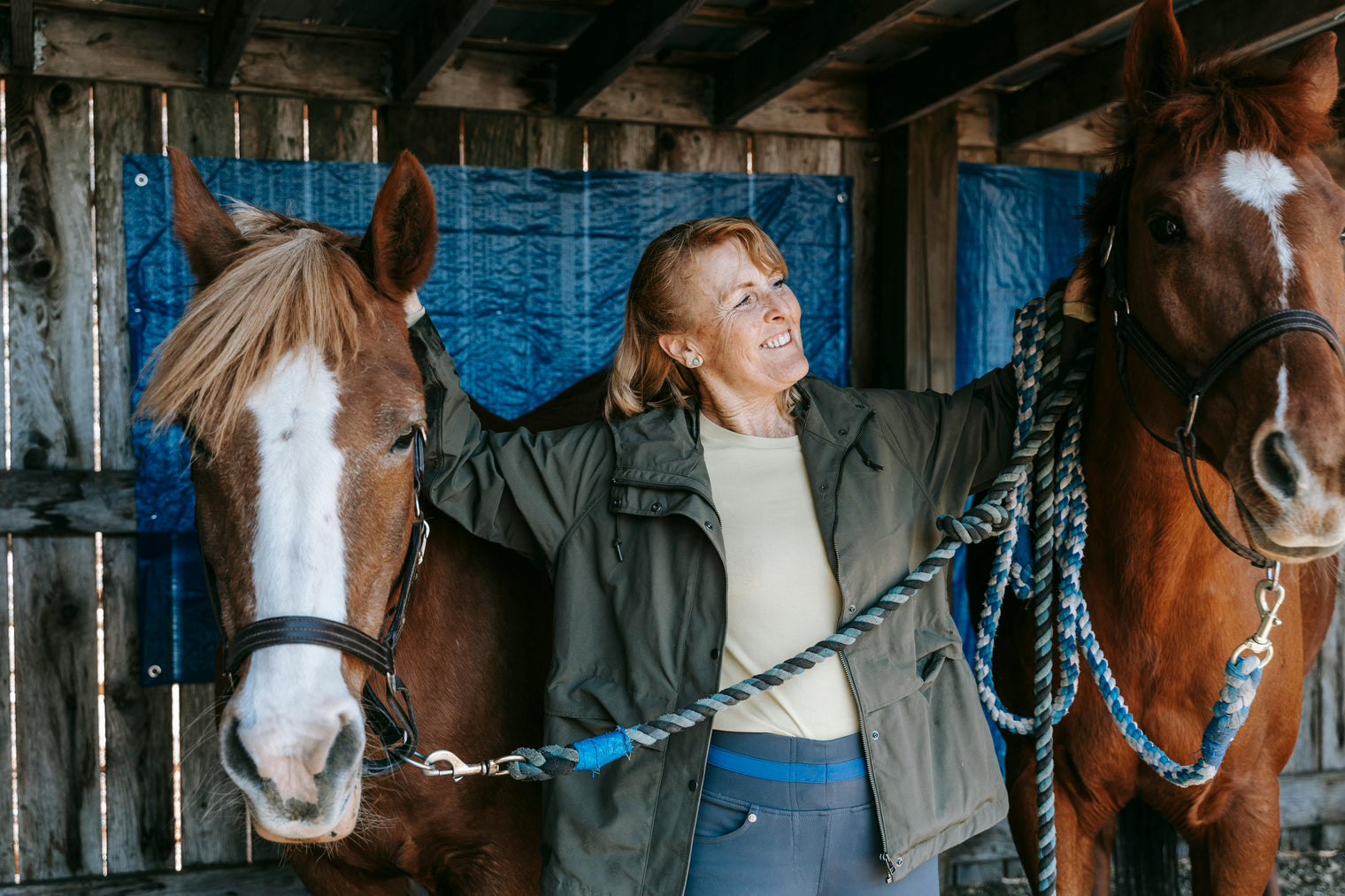 Preparing Your Horse’s Immune System for Winter