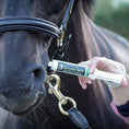 Load image into Gallery viewer, Equine Supplement for Recovery