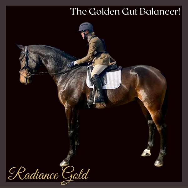 No.1 - Radiance Gold Original