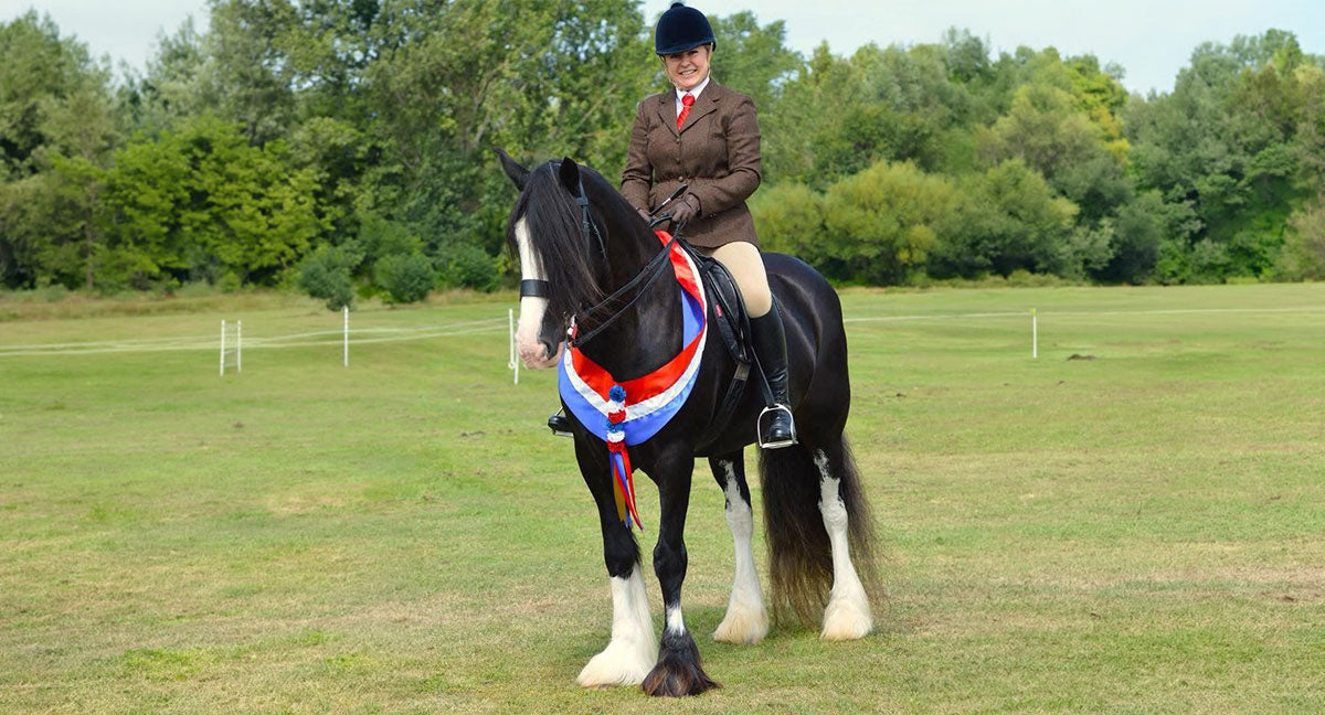 Daisy's Secret - Supporting a Horse with Skin Allergies | Customer Spotlight