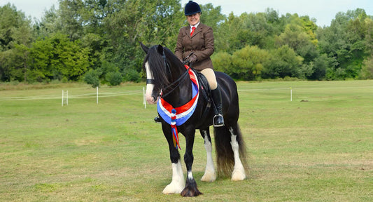Daisy's Secret - Supporting a Horse with Skin Allergies | Customer Spotlight