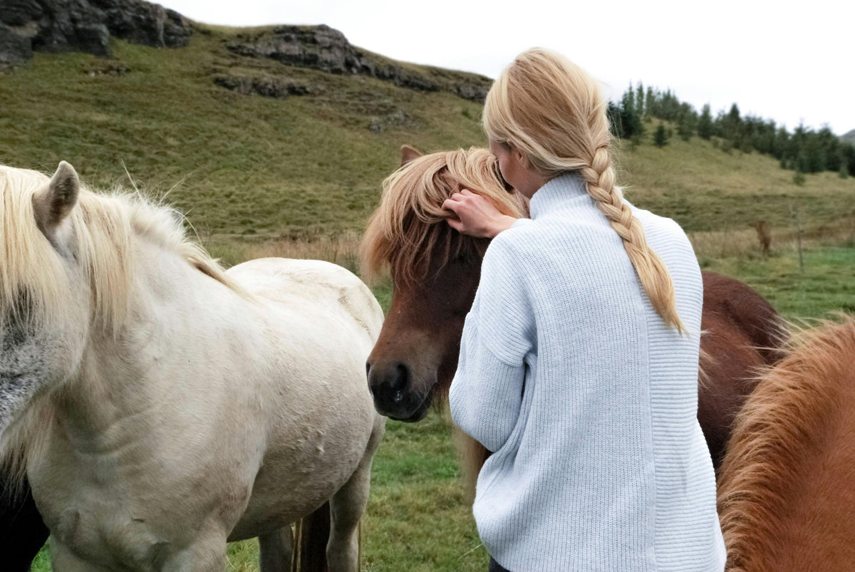 Horse Gut Health 101: Signs, Fixes, and the Daily Routine That Actually Works