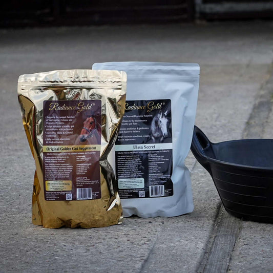 Horse digestive supplement bundle for gut health and wellbeing