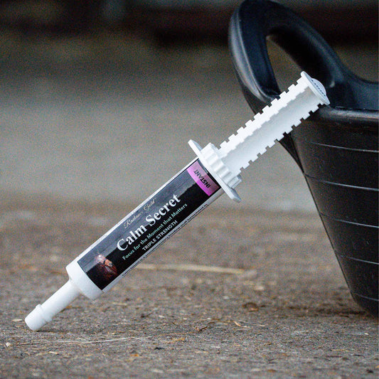 Calmer Syringe Instant Paste Horse Supplement