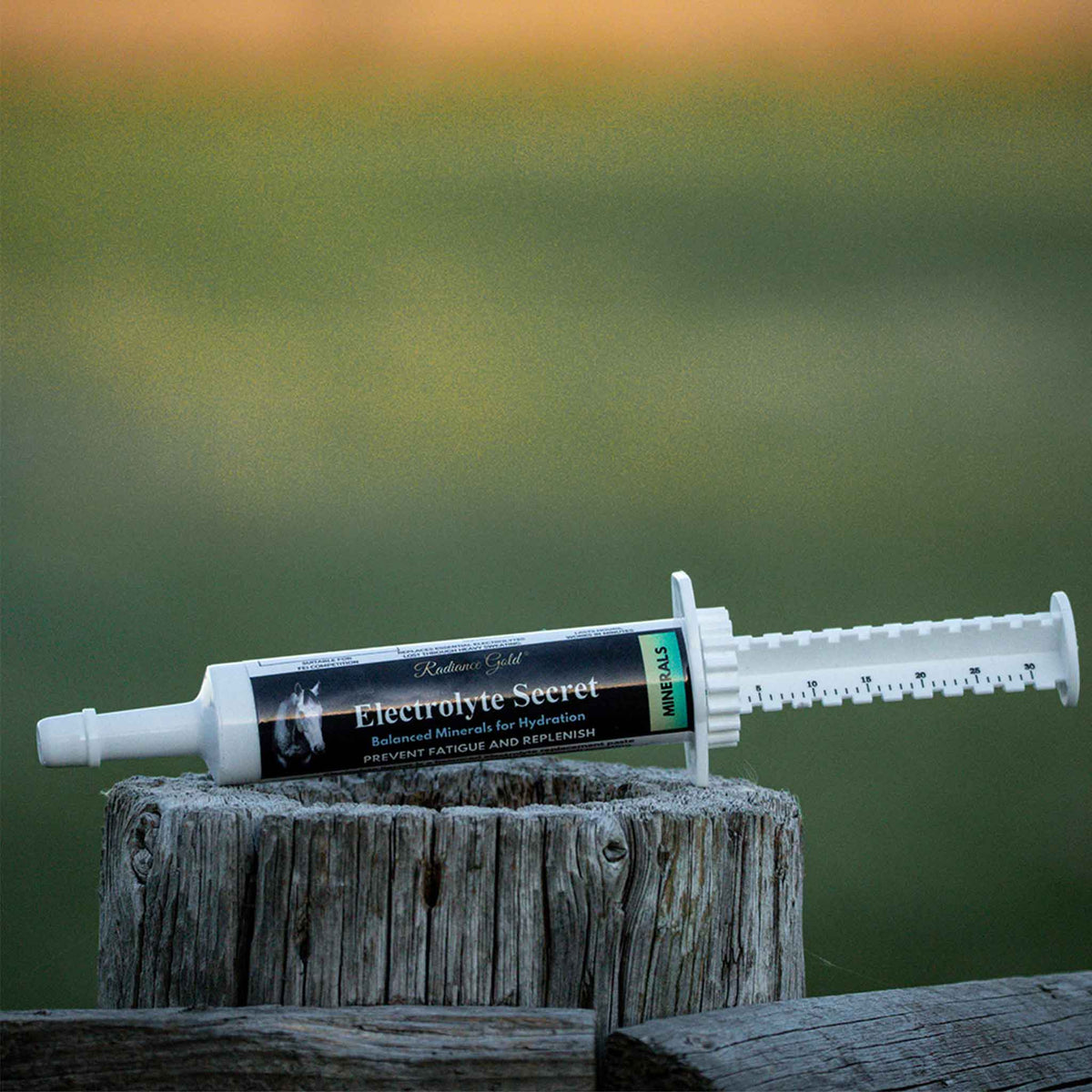 Electrolyte Oral Syringe - Paste Supplement