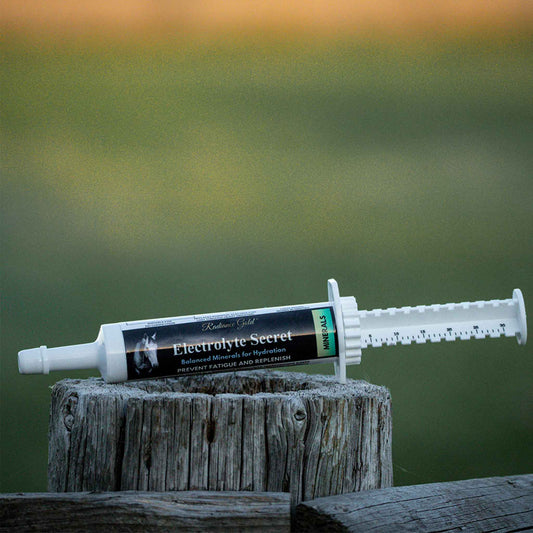 Electrolyte Oral Syringe - Paste Supplement