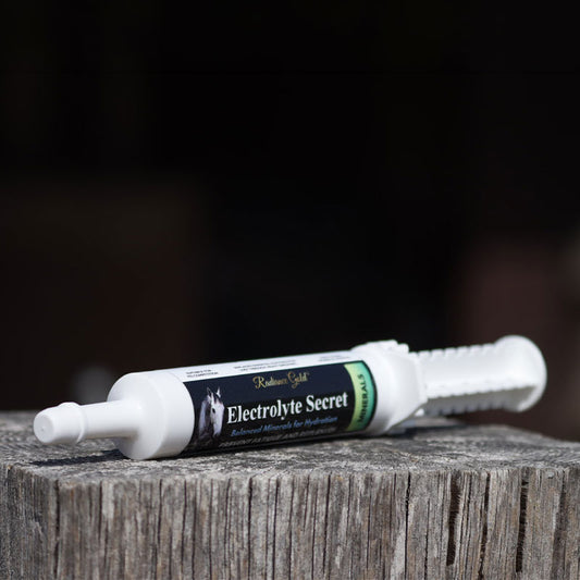 Equine Performance Supplement for Recovery