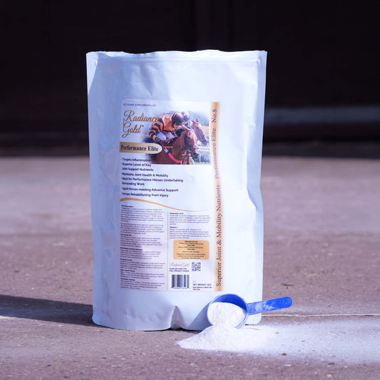 Performance Joint Supplement for horses