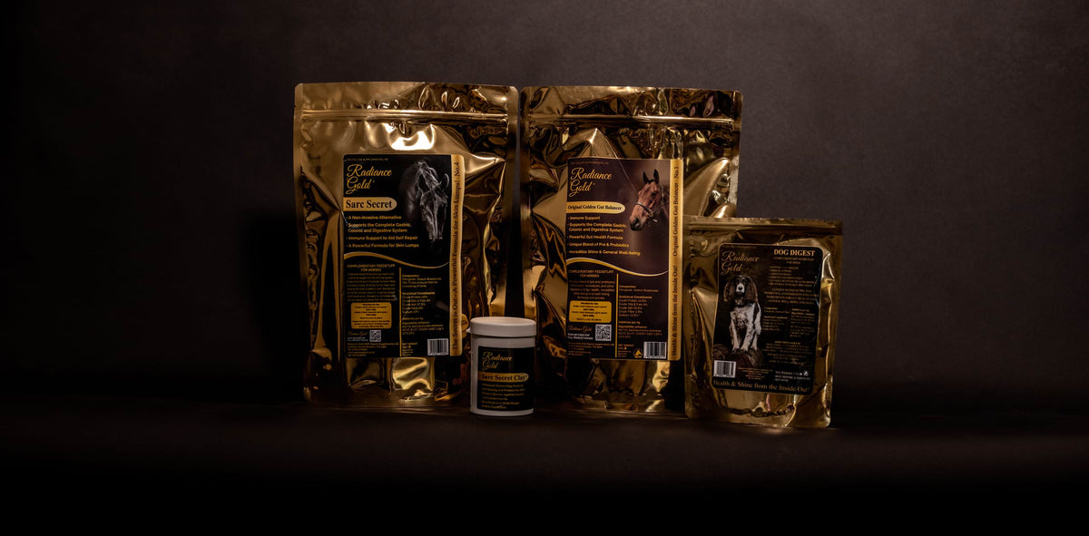 Horse and dog supplements for digestive health and performance