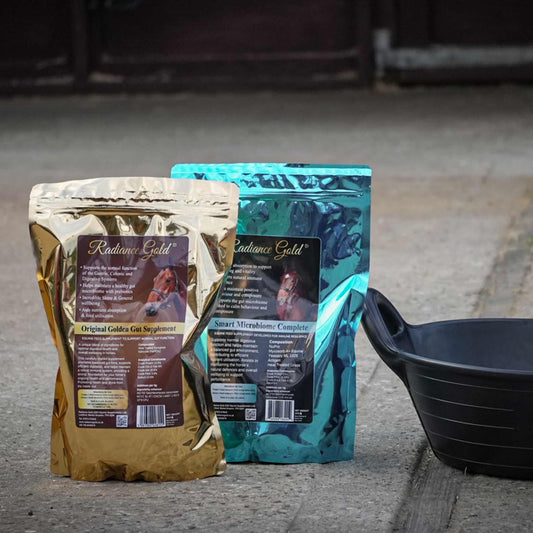 Horse gut health supplement bundle for digestive support