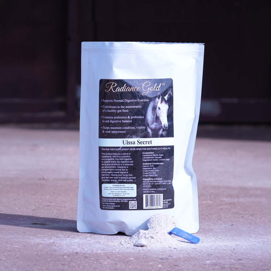 Horse Supplement for Gut Health