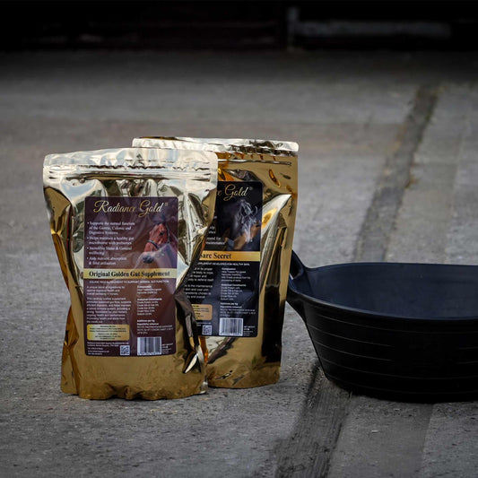 Horse gut and immune support bundle featuring Radiance Gold Original and SarcSecret