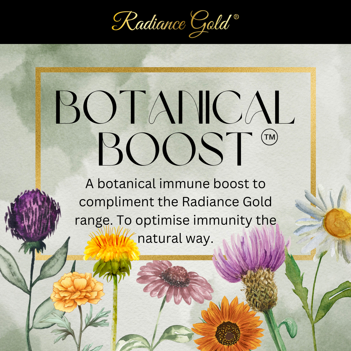 Botanical Boost