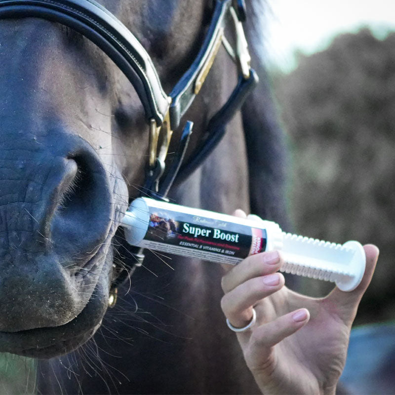 Energy Supplement for horses 