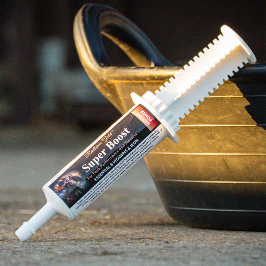 energy supplement for horses - instant syringe