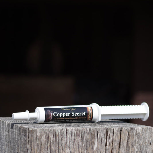 Performance Supplement for Horses providing a source of copper