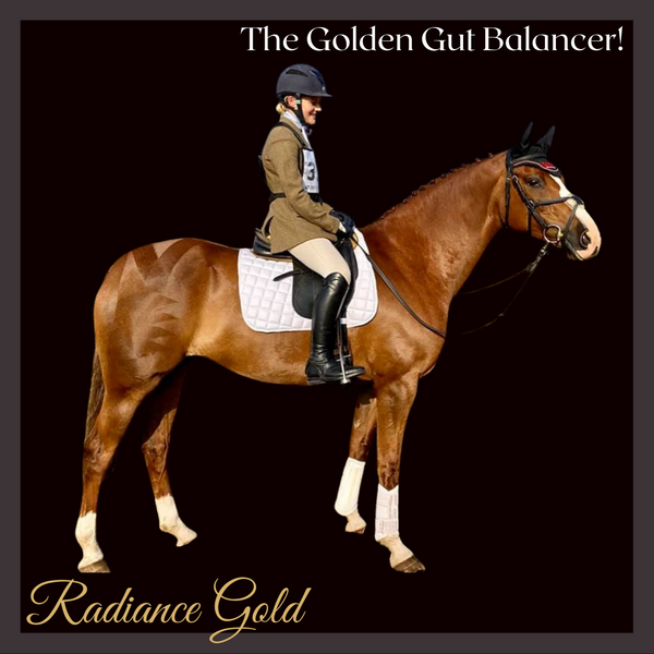 No.3 - Radiance Gold Cush Off