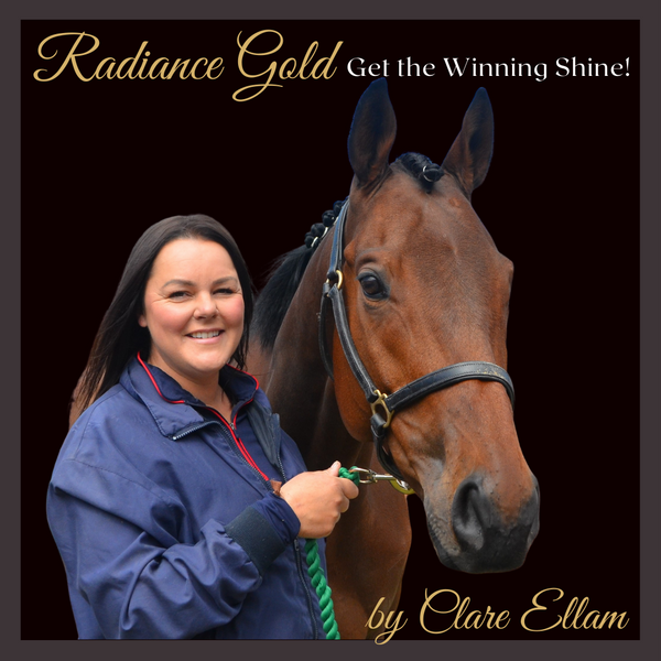 No.2 - Radiance Gold Mare